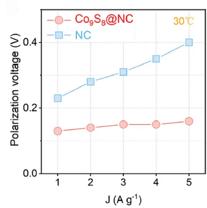Open access visualization of Line Plot, Scatter Plot, Polarization Voltages, Currents, Electrode