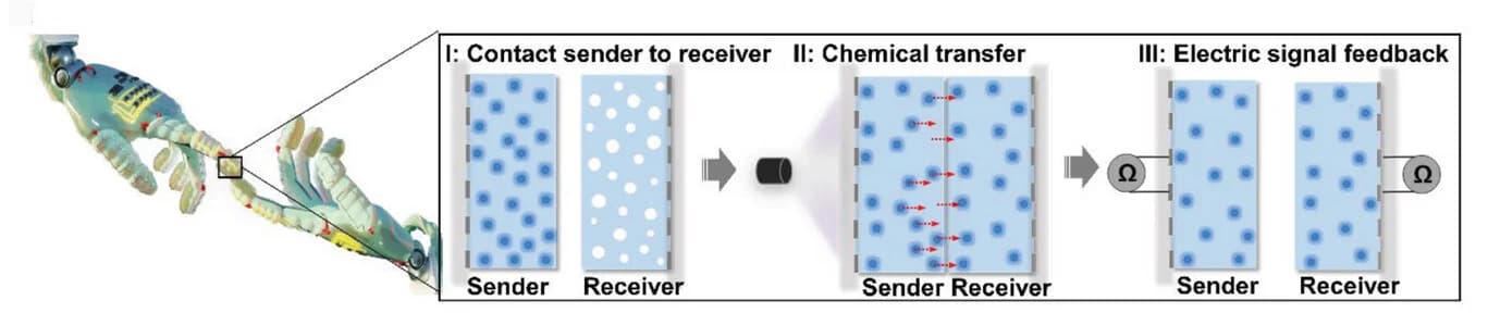 Open access visualization of Workflow, Illustration, Chemical Communication, Information Transfer, Reception