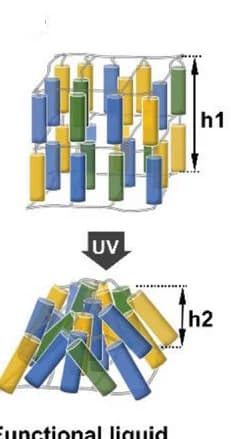 Open access visualization of Illustration, Smectic LC Network, Contraction, Order Decrease