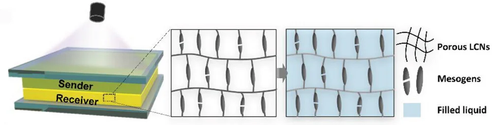 Open access visualization of Illustration, Workflow, Liquid Transfer, Receiver, Sender