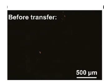 Open access visualization of Microscopy, Optical Microscope, Receiver, Sender, Liquid Transfer