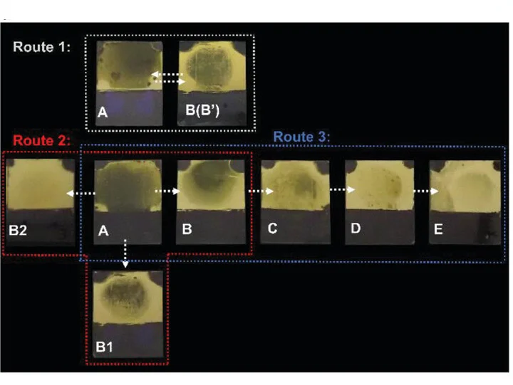 Open access visualization of Workflow, LC Coatings, Liquid Transfer, Reciprocal Liquid Transfer, Distribution Transfer