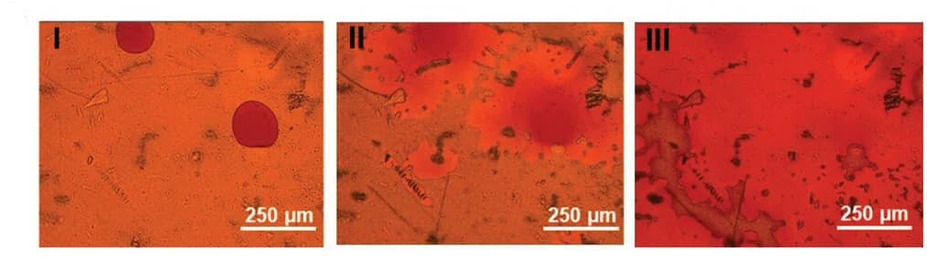 Open access visualization of Microscopy, Microscopic Images, Fe(SCN)3, UV Illumination