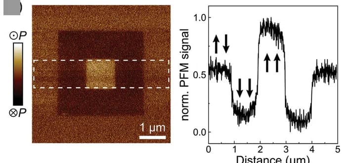 Open access visualization of Microscopy, Line Plot, UV-Light Exposure, Vertical-PFM Measurements, Multi-Domain Configuration