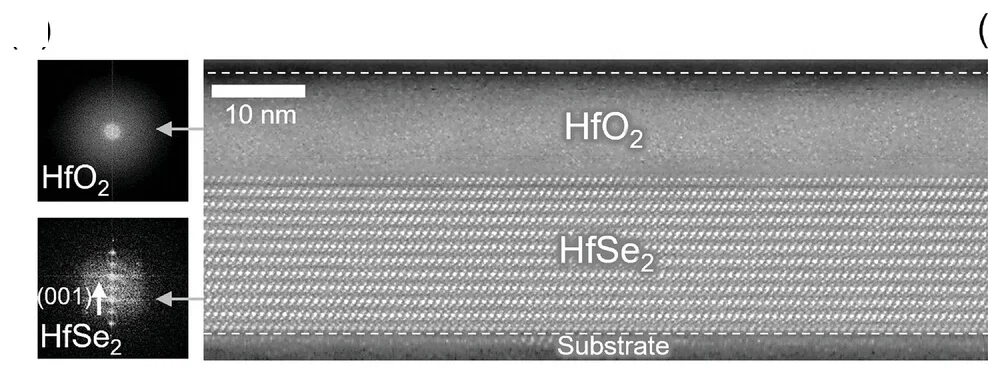 Open access visualization of Microscopy, Fast Fourier Transform, STEM, HfO2/HfSe2 Heterostructure