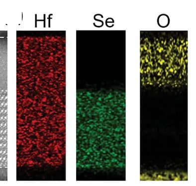 Open access visualization of Microscopy, EDS Mapping, Elemental Distribution, HfO2/HfSe2