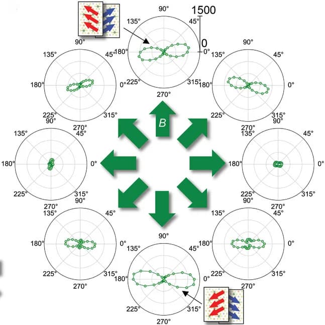 Open access visualization of Scatter Plot, SHG, Magnetic Field, SHG Patterns, Spin Order