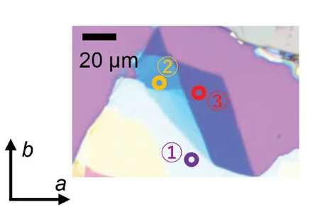 Open access visualization of Microscopy, Optical Image, Crystal, CuCrP2S6