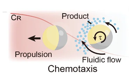 Open access visualization of Illustration, Workflow, Self-Alignment, Chemotaxis, Catalytic Janus Particle