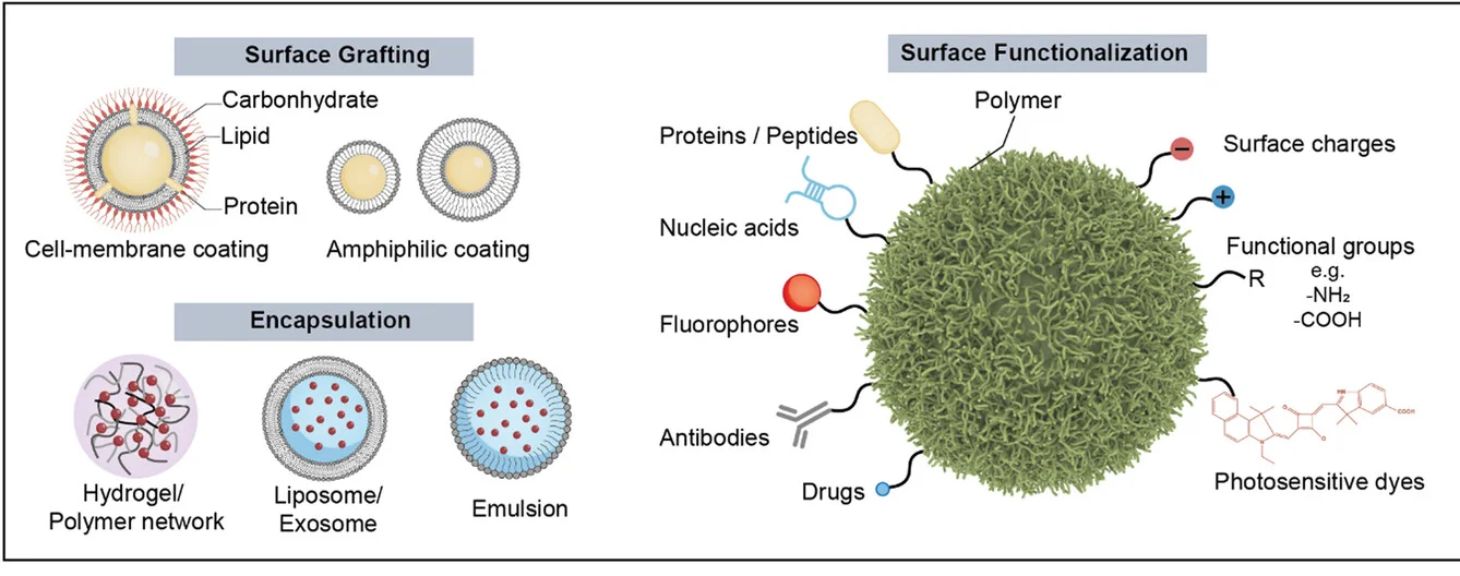 Open access visualization of Illustration, Workflow, Active Agents, Surface Grafting, Encapsulation