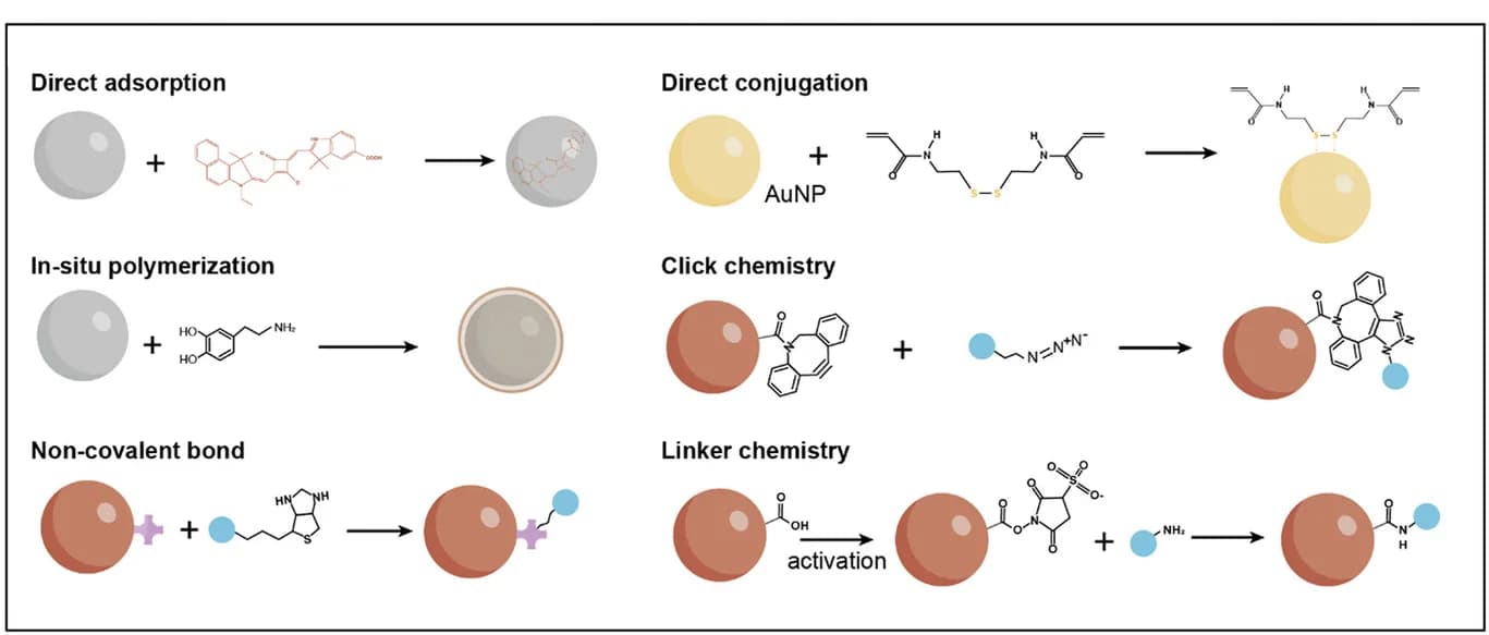 Open access visualization of Workflow, Illustration, Chemical Structure, Active Agents, Functionalization