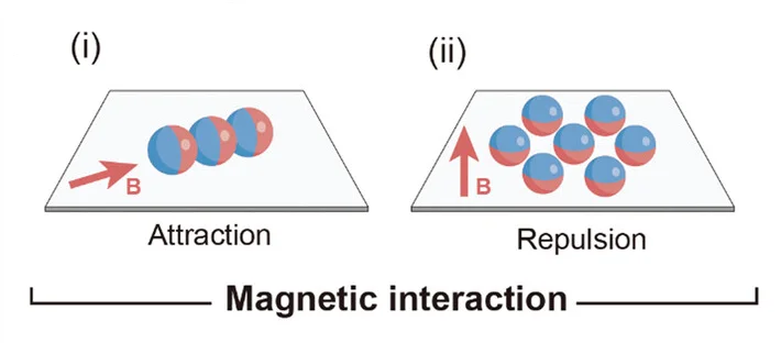 Open access visualization of Illustration, Swarm Generation, Magnetic Agents, Attraction, Repulsion