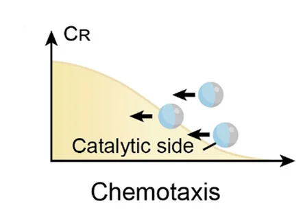 Open access visualization of Line Plot, Illustration, Chemotaxis, Catalytic Active Agents, Chemical Gradient