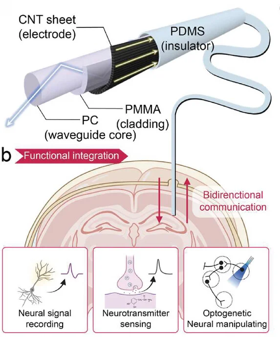 Open access visualization of Illustration, Workflow, SAMP, Schematic Illustration