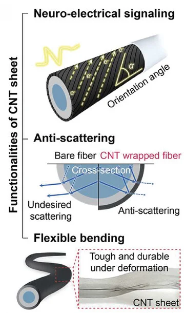 Open access visualization of Illustration, CNT Sheet, SAMP