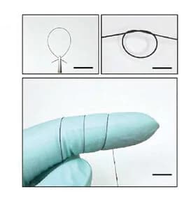 Open access visualization of Photo, Flexibility, Mechanical Deformation