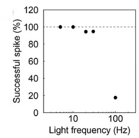 Open access visualization of Scatter Plot, Evoked Spike Ratio, Frequency