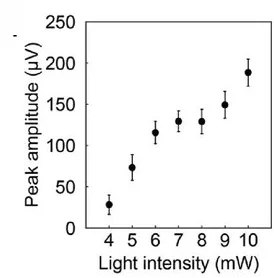 Open access visualization of Line Plot, Error Bars, Light Intensity, Optically Evoked Potential, Peak Amplitude