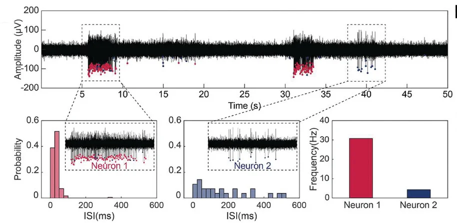 Open access visualization of Line Plot, Scatter Plot, Histogram, Bar Plot, Neural Stream