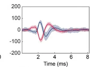 Open access visualization of Line Plot, Error Bars, Waveform, Spike Units