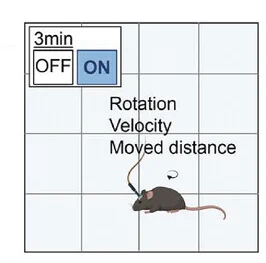 Open access visualization of Illustration, Behavioral Test, ChR2 Mice, SAMP, M2 Cortex