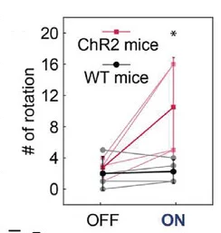 Open access visualization of Line Plot, Scatter Plot, Rotations, ChR2 Mice, Wild-Type Mice