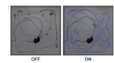 Open access visualization of Photo, Trajectory, ChR2 Mice, Open Field Arena