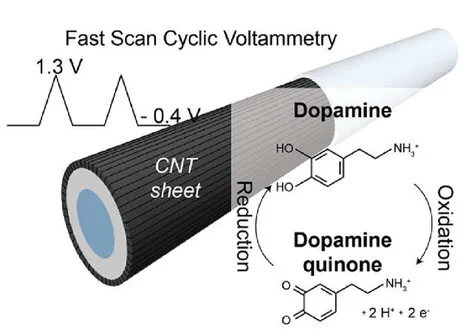 Open access visualization of Illustration, Workflow, Line Plot, Chemical Structure, Dopamine Sensing