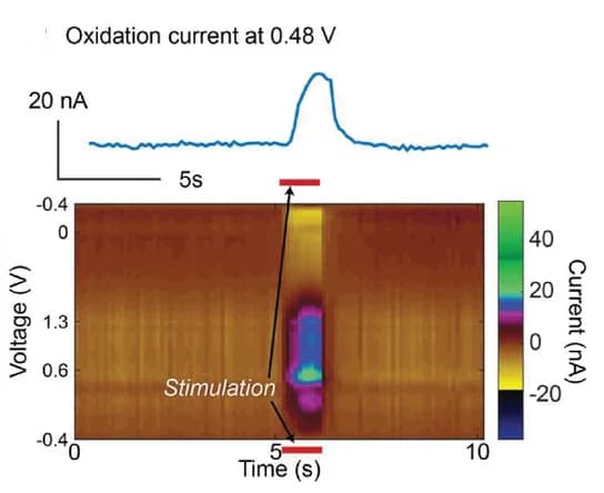 Open access visualization of Heatmap, Line Plot, Voltammogram, Stimulation, Oxidation Current