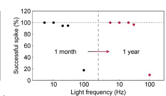 Open access visualization of Scatter Plot, Evoked Spike Ratio, SAMP, Frequency