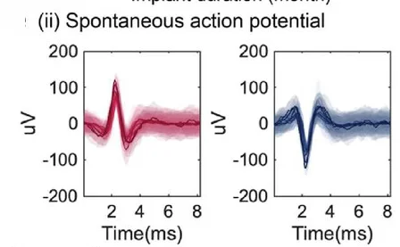 Open access visualization of Line Plot, Error Bars, Waveform