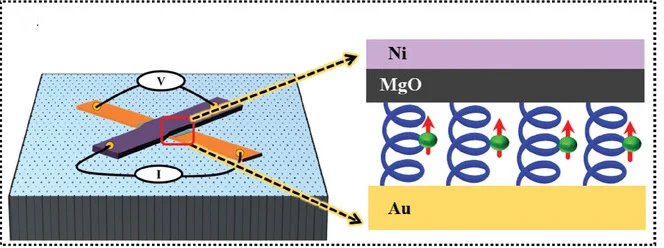 Open access visualization of Illustration, Spin-Valve Device, Magnetoresistance, Oligopeptides, Electrodes