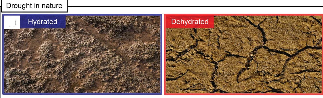 Open access visualization of Photo, Soils, Drought