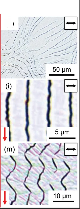 Open access visualization of Microscopy, Optical Microscopy, Cracks, Light Scattering