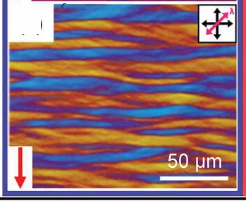 Open access visualization of Microscopy, Polarized Optical Microscope, DNA Film, Chains, Shear Direction