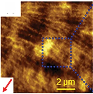 Open access visualization of Microscopy, Height Images, Sheared DNA Film, Organic Solvent