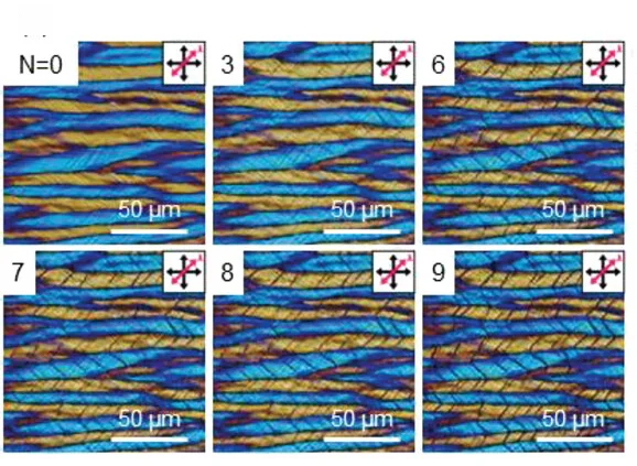 Open access visualization of Microscopy, POM Images, DNA Films, OSID