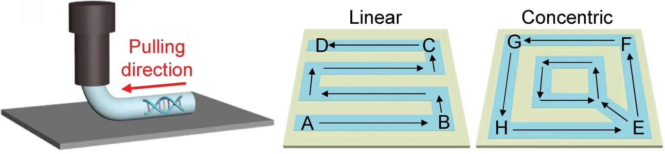 Open access visualization of Illustration, Workflow, Flowchart, Direct Ink Writing, DNA Liquid Crystals