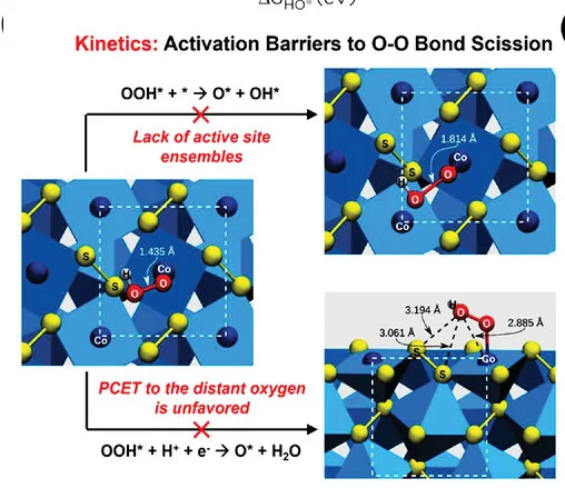 Open access visualization of Chemical Structure, Workflow, Kinetic Selectivity, ORR, Active Sites