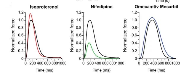 Open access visualization of Line Plot, Calcium Signals, Action Potential, EHT Modules