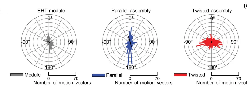 Open access visualization of Histogram, Polar Histograms, Motion Vectors, PIV Analysis