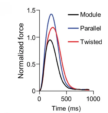 Open access visualization of Line Plot, Contractile Changes, EHT Module, pa-EHT, ta-EHT