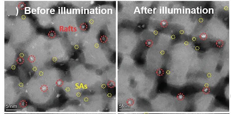 Open access visualization of Microscopy, HAADF-STEM Images, Magnification