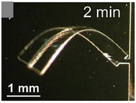 Open access visualization of Microscopy, In Situ Monitoring, Folding