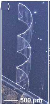 Open access visualization of Microscopy, Fabrication, Graphene, Helices, Array