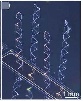 Open access visualization of Microscopy, 3D Helices, Array