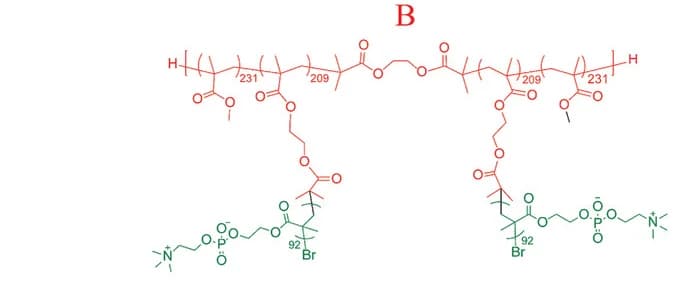 Open access visualization of Chemical Structure, Morphology, Monoblock Bottlebrush