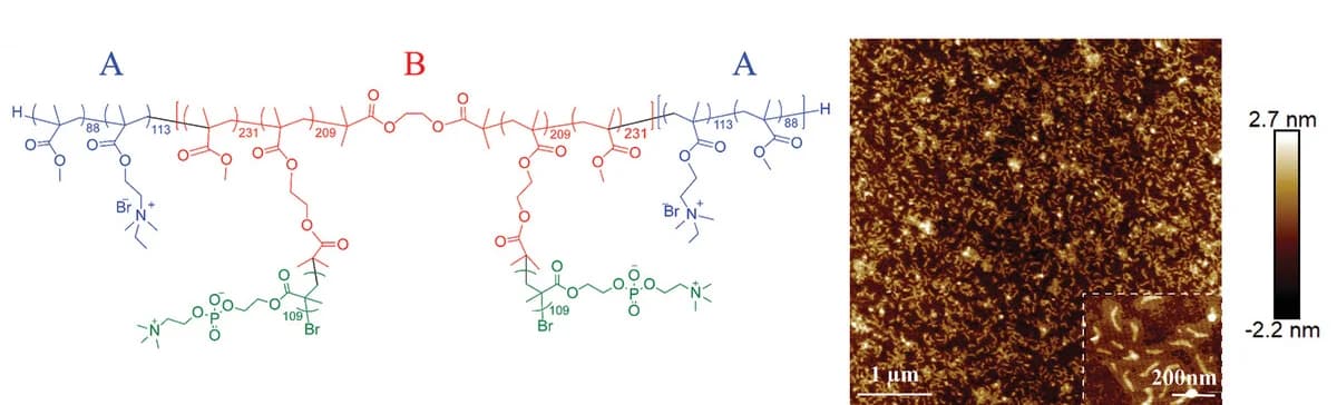Open access visualization of Chemical Structure, Microscopy, Morphology, Triblock Bottlebrush