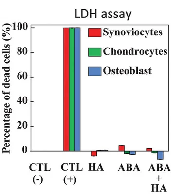 Open access visualization of Bar Plot, Clustered, Cell Toxicity, Hyaluronic Acid, Synoviocytes