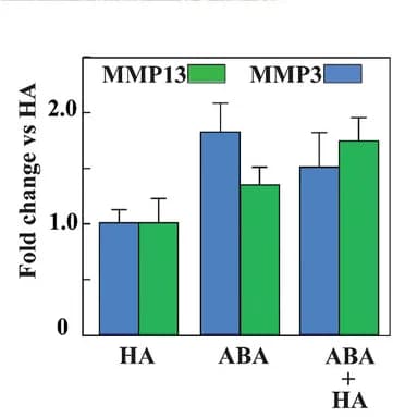 Open access visualization of Bar Plot, Error Bars, Clustered, MMP3, MMP13